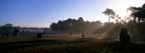 Alignments of Carnac in the early morning. © Guillaume Plisson / Plisson La Trinité / AA10533 - Photo Galleries - Carnac