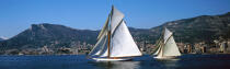 Mariquita et Tuiga - Classic Week 2005. © Philip Plisson / Plisson La Trinité / AA10542 - Photo Galleries - J Class yacht