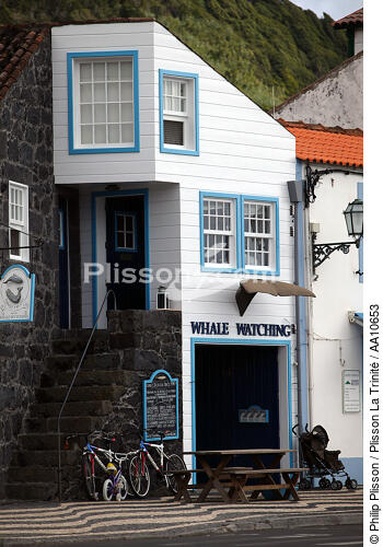 On Pico Island in the Azores. - © Philip Plisson / Plisson La Trinité / AA10653 - Photo Galleries - Street