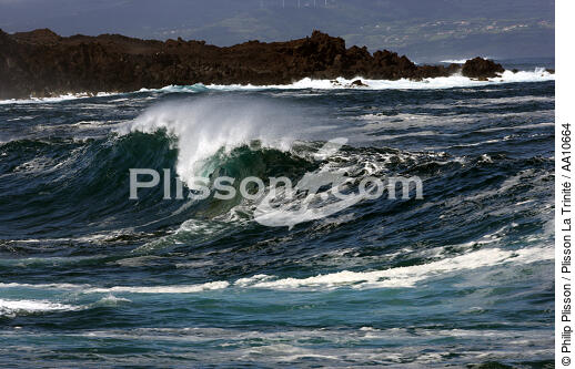 Wild coast of Pico island in the Azores. - © Philip Plisson / Plisson La Trinité / AA10664 - Photo Galleries - Wild coast