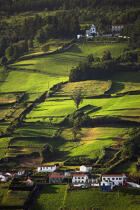 Countryside on Faial in the Azores. © Philip Plisson / Plisson La Trinité / AA10751 - Photo Galleries - Azores [The]