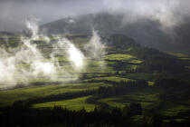 Vue sur la campagne de l'île Faial aux Açores. © Philip Plisson / Plisson La Trinité / AA10773 - Nos reportages photos - Champ
