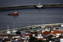 Vue sur le port d'Horta aux Açores. © Philip Plisson / Plisson La Trinité / AA10776 - Nos reportages photos - Faial