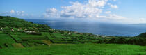 Faial Island in the Azores. © Philip Plisson / Plisson La Trinité / AA10797 - Photo Galleries - Field