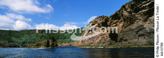 Côte de l' île Faial aux Açores. - © Philip Plisson / Plisson La Trinité / AA10799 - Nos reportages photos - Plante