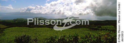 L' île Faial aux Açores. - © Philip Plisson / Plisson La Trinité / AA10813 - Nos reportages photos - Herbe