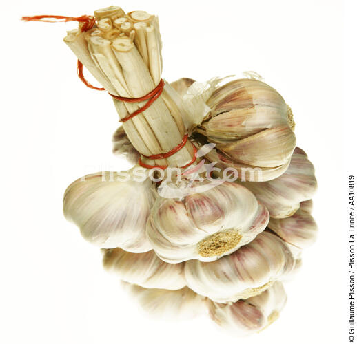 Garlic. - © Guillaume Plisson / Plisson La Trinité / AA10819 - Photo Galleries - Vegetable