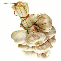 Garlic. © Guillaume Plisson / Plisson La Trinité / AA10819 - Photo Galleries - Vegetable
