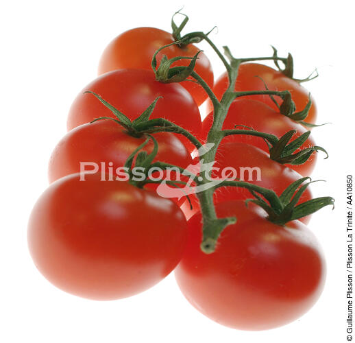 Tomates en grappe. - © Guillaume Plisson / Plisson La Trinité / AA10850 - Nos reportages photos - Tomate