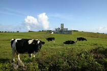 Le phare de la pointe de Ribeirinha sur Faial aux Açores. © Philip Plisson / Plisson La Trinité / AA10872 - Nos reportages photos - Vache