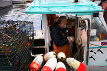 Fisherman in Camden harbour in Maine. © Philip Plisson / Plisson La Trinité / AA10896 - Photo Galleries - Lobster pot