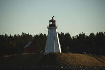 Canadian lighthouse view from Lubec in the State of Maine. © Philip Plisson / Plisson La Trinité / AA10901 - Photo Galleries - Forest