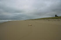 On a beach of Massachusetts. © Philip Plisson / Plisson La Trinité / AA10942 - Photo Galleries - Grey sky