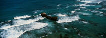 Shipwreck in Panama. © Philip Plisson / Plisson La Trinité / AA11022 - Photo Galleries - Boat graveyard