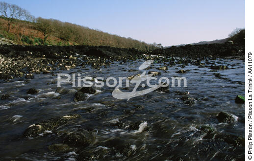 The Aber-Wrac' h with low tide. - © Philip Plisson / Plisson La Trinité / AA11079 - Photo Galleries - Low tide