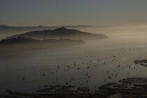 Sausalito en baie de San Francisco. © Philip Plisson / Plisson La Trinité / AA11202 - Nos reportages photos - Ville [Californie]