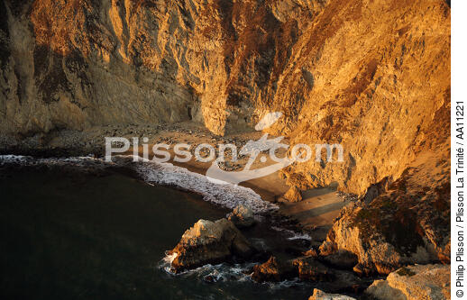 Point Reyes en Californie. - © Philip Plisson / Plisson La Trinité / AA11221 - Nos reportages photos - Mammifère marin
