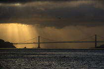 Lumière sur le Golden Gate. © Philip Plisson / Plisson La Trinité / AA11250 - Nos reportages photos - Site [Californie]