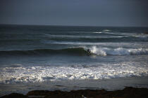 Surf à Monterey en Californie. © Philip Plisson / Plisson La Trinité / AA11295 - Nos reportages photos - Sport nautique