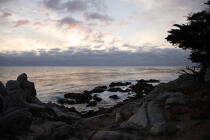 Paysage à Monterey. © Philip Plisson / Plisson La Trinité / AA11305 - Nos reportages photos - Monterey