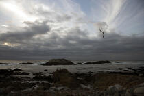 Paysage à Monterey. © Philip Plisson / Plisson La Trinité / AA11307 - Nos reportages photos - Monterey