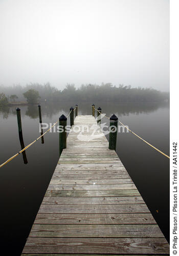 Ponton dans la brume. - © Philip Plisson / Plisson La Trinité / AA11442 - Nos reportages photos - Ponton
