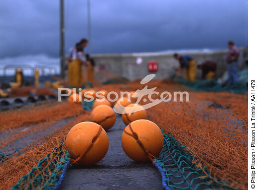 Fishing net on quay. - © Philip Plisson / Plisson La Trinité / AA11479 - Photo Galleries - Man