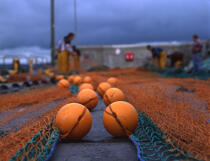 Filet de pêche à quai. © Philip Plisson / Plisson La Trinité / AA11479 - Nos reportages photos - Homme