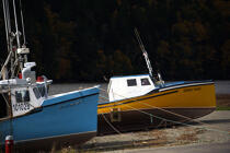 Bateaux dans le port d'Alma. © Philip Plisson / Plisson La Trinité / AA11599 - Nos reportages photos - Baie de Fundy