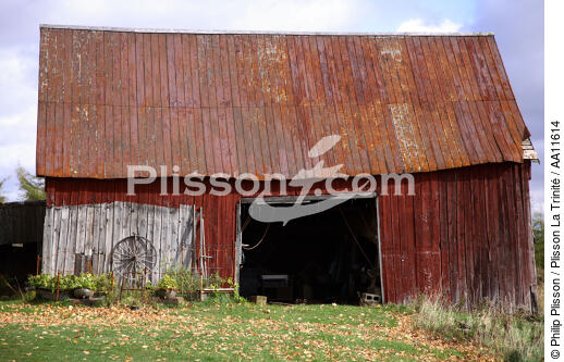 Old barn in Alma. - © Philip Plisson / Plisson La Trinité / AA11614 - Photo Galleries - Grass