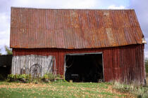 Old barn in Alma. © Philip Plisson / Plisson La Trinité / AA11614 - Photo Galleries - Flora