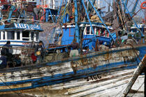 Bateaux de pêche à Essaouira. © Philip Plisson / Plisson La Trinité / AA11627 - Nos reportages photos - Homme