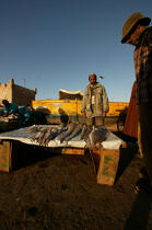 Pêcheur marocain à Essaouira. © Philip Plisson / Plisson La Trinité / AA11638 - Nos reportages photos - Homme
