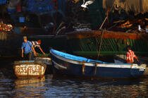 Pêcheurs marocains à Essaouira. © Philip Plisson / Plisson La Trinité / AA11641 - Nos reportages photos - Métier