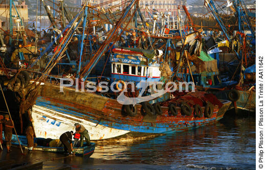 Bateau de pêche à Essaouira. - © Philip Plisson / Plisson La Trinité / AA11642 - Nos reportages photos - Pêcheurs du monde