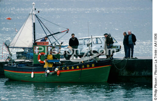 Retour de pêche dans le Finistère. - © Philip Plisson / Plisson La Trinité / AA11836 - Nos reportages photos - Homme