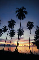 Coucher de soleil à Tahiti. © Philip Plisson / Plisson La Trinité / AA11843 - Nos reportages photos - Palmier