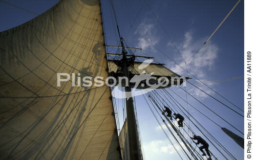 L' Esmeralda. - © Philip Plisson / Plisson La Trinité / AA11889 - Nos reportages photos - Quatre-mâts goélette