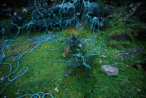 Ropes. © Philip Plisson / Plisson La Trinité / AA11892 - Photo Galleries - Rigging