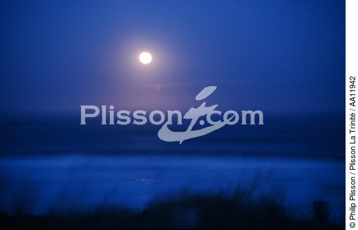Aquitaine, full moon on coast. - © Philip Plisson / Plisson La Trinité / AA11942 - Photo Galleries - Full moon