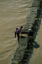 Oyster farmers. © Philip Plisson / Plisson La Trinité / AA11962 - Photo Galleries - Low tide