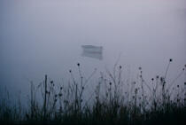 Boat in the fog in the Gulf of Morbihan. © Philip Plisson / Plisson La Trinité / AA11983 - Photo Galleries - Grass