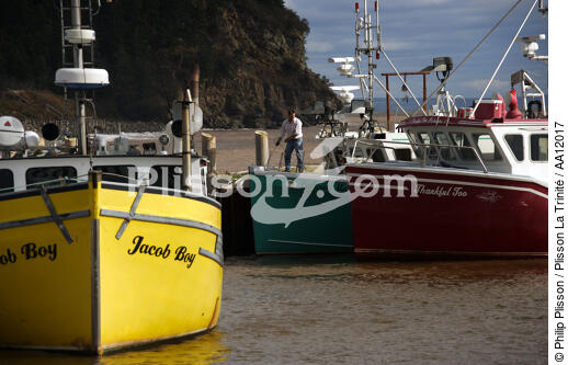 Bateaux dans le port d' Alma. - © Philip Plisson / Plisson La Trinité / AA12017 - Nos reportages photos - Homme