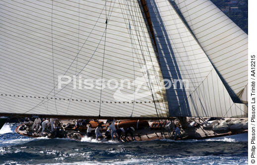 Les Voiles de Saint-Tropez 2005. - © Philip Plisson / Plisson La Trinité / AA12215 - Photo Galleries - J Class yacht