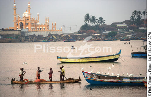 Vilinjan, Kerala, Inde. - © Philip Plisson / Plisson La Trinité / AA12270 - Nos reportages photos - Pêcheur du monde