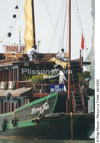 Jonque dans la baie d'Along. - © Philip Plisson / Plisson La Trinité / AA12300 - Nos reportages photos - La Baie d'Along, Vietnam