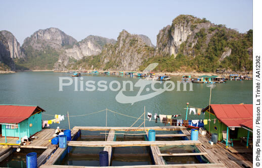 Village de pêcheurs vietnamiens. - © Philip Plisson / Plisson La Trinité / AA12362 - Nos reportages photos - Maison flottante