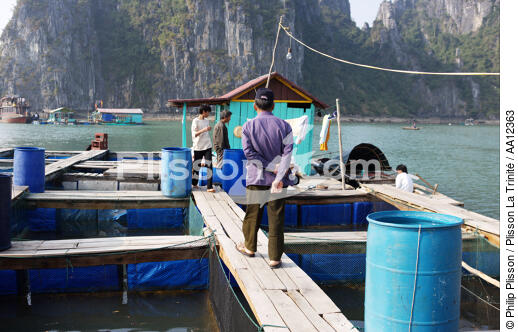 Village de pêcheurs vietnamiens. - © Philip Plisson / Plisson La Trinité / AA12363 - Nos reportages photos - Homme