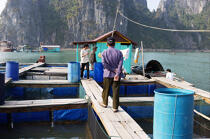 Village of Vietnamese fishermen. © Philip Plisson / Plisson La Trinité / AA12363 - Photo Galleries - Floating house