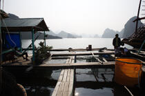 Village of Vietnamese fishermen. © Philip Plisson / Plisson La Trinité / AA12365 - Photo Galleries - Vietnam